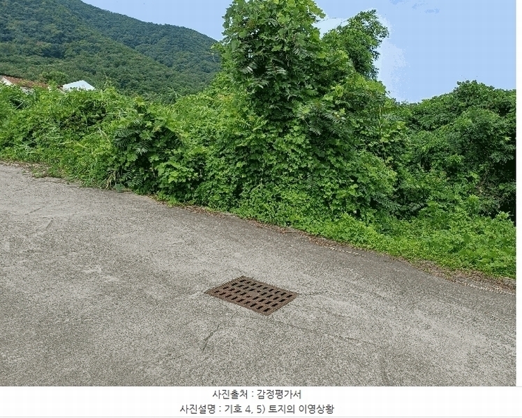2025타경469 경상북도 경주시 율동 954-20 과수원 경매 이미지