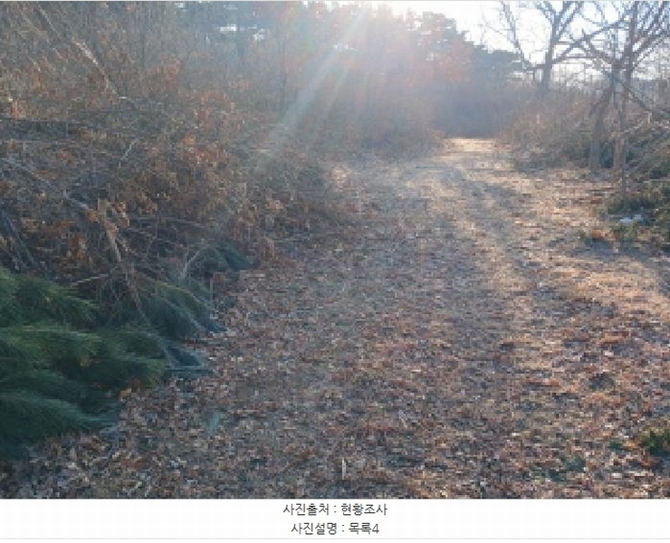 2025타경515 충청남도 서산시 음암면 부산리 520 임야 경매 이미지