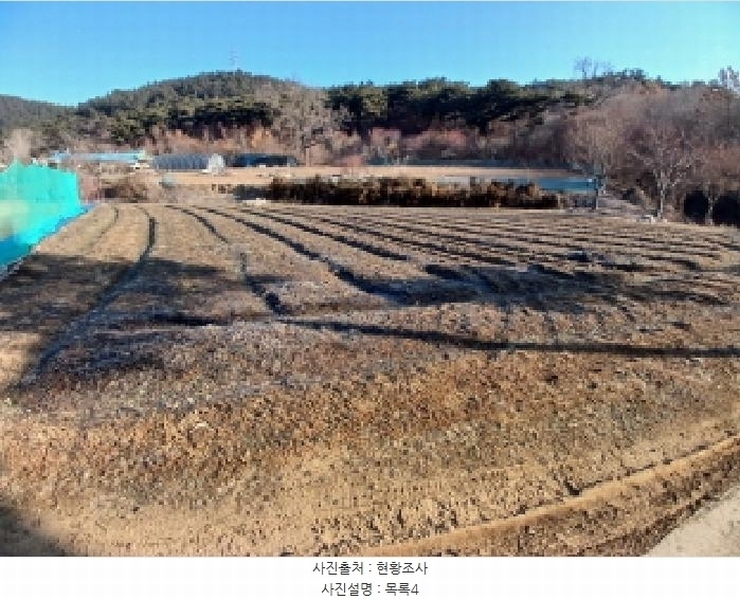 2025타경515 충청남도 서산시 음암면 부산리 520 임야 경매 이미지