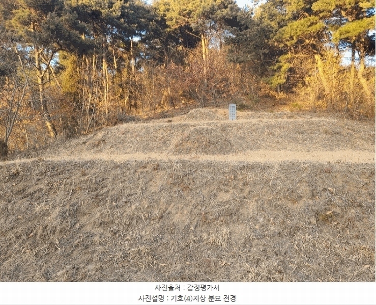2025타경515 충청남도 서산시 음암면 부산리 520 임야 경매 이미지