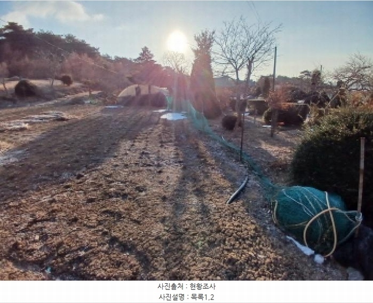 2025타경515 충청남도 서산시 음암면 부산리 520 임야 경매 이미지