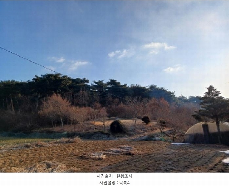 2025타경515 충청남도 서산시 음암면 부산리 520 임야 경매 이미지