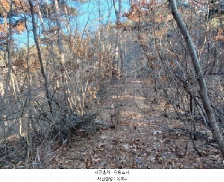 2025타경515 충청남도 서산시 음암면 부산리 520 임야 경매 이미지