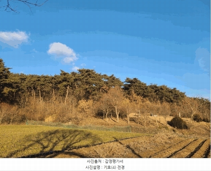 2025타경515 충청남도 서산시 음암면 부산리 520 임야 경매 이미지