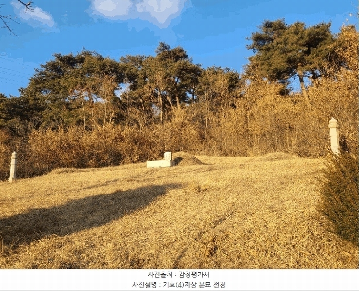 2025타경515 충청남도 서산시 음암면 부산리 520 임야 경매 이미지