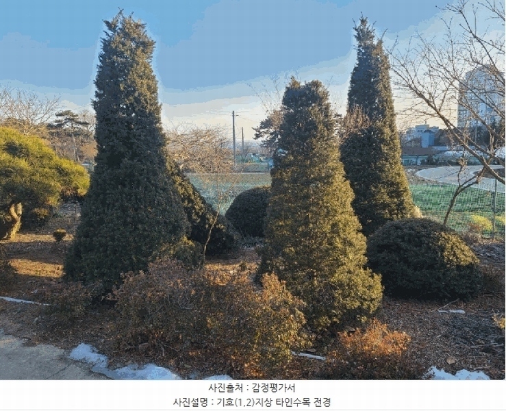 2025타경515 충청남도 서산시 음암면 부산리 520 임야 경매 이미지