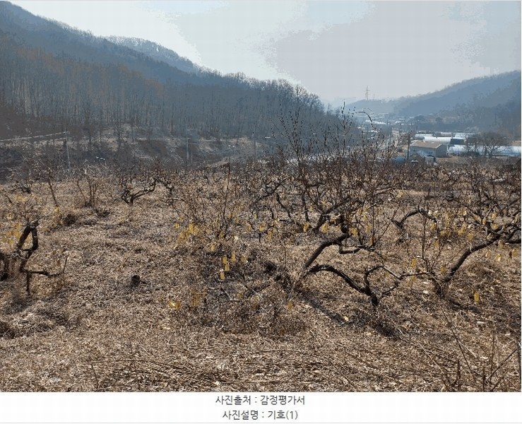 2025타경51703 경기도 시흥시 군자동 441-3 임야 경매 이미지