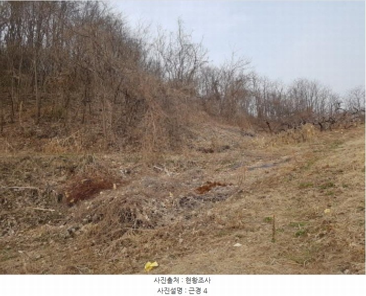 2025타경51703 경기도 시흥시 군자동 441-3 임야 경매 이미지