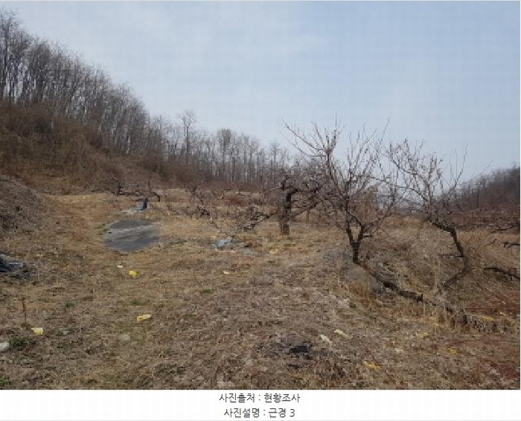 2025타경51703 경기도 시흥시 군자동 441-3 임야 경매 이미지