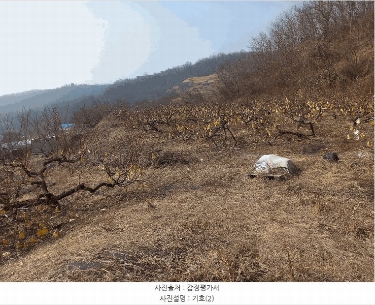 2025타경51703 경기도 시흥시 군자동 441-3 임야 경매 이미지