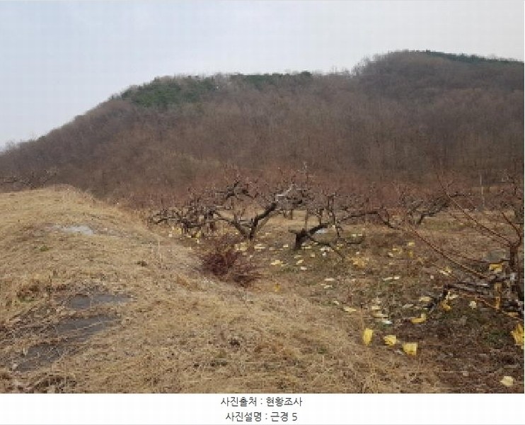 2025타경51703 경기도 시흥시 군자동 441-3 임야 경매 이미지