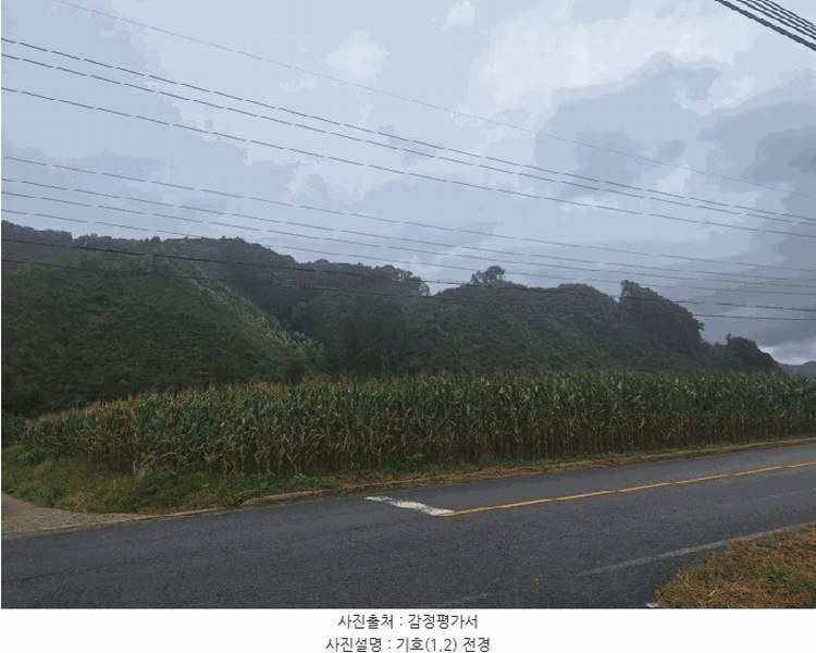2025타경51798 충청북도 청주시 상당구 미원면 중리 산71-13 임야 경매 이미지