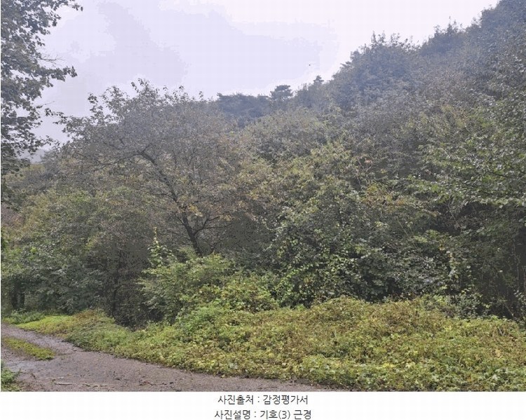 2025타경51798 충청북도 청주시 상당구 미원면 중리 산71-13 임야 경매 이미지