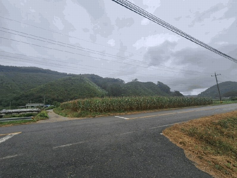 2025타경51798 충청북도 청주시 상당구 미원면 중리 산71-13 임야 경매 이미지