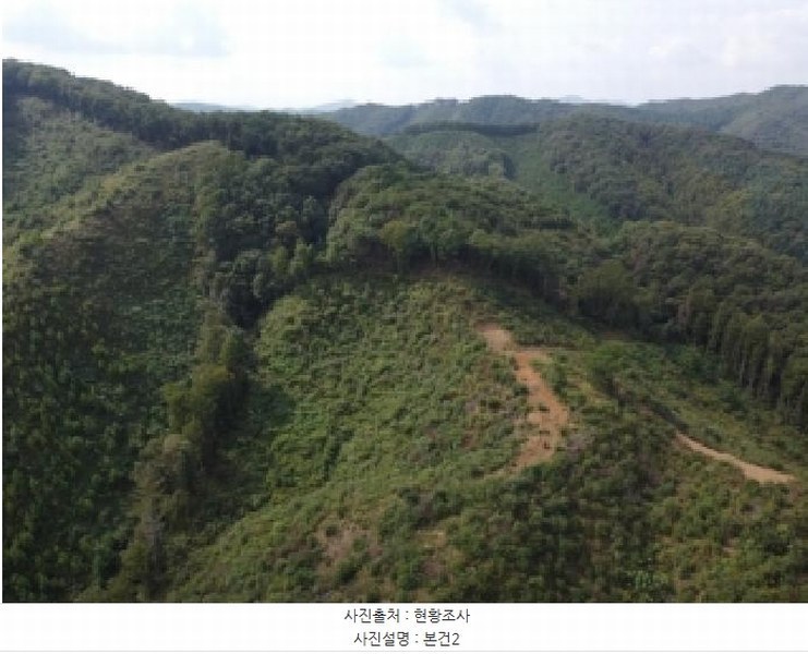 2025타경51798 충청북도 청주시 상당구 미원면 중리 산71-13 임야 경매 이미지