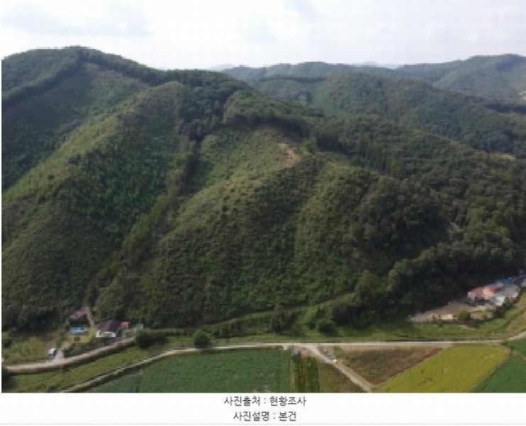 2025타경51798 충청북도 청주시 상당구 미원면 중리 산71-13 임야 경매 이미지