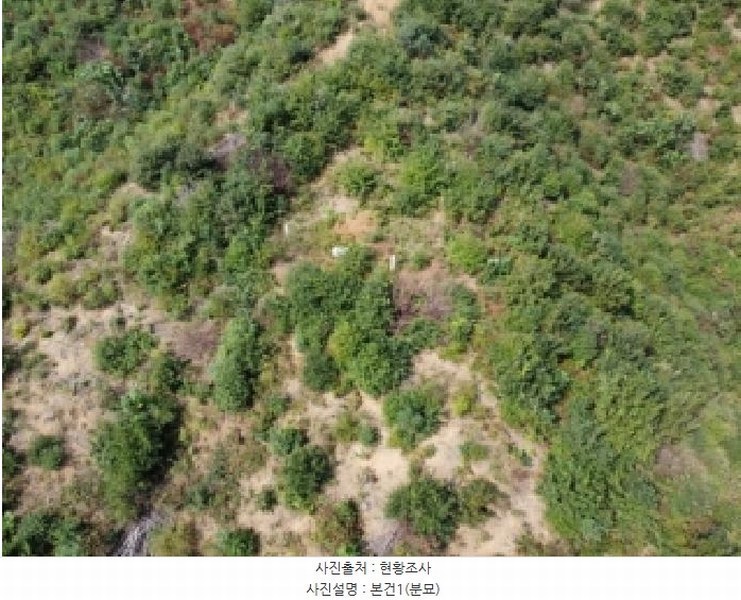 2025타경51798 충청북도 청주시 상당구 미원면 중리 산71-13 임야 경매 이미지
