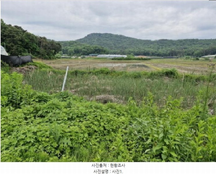 2025타경52295 경기도 안산시 단원구 대부동동 1958 농지 경매 이미지