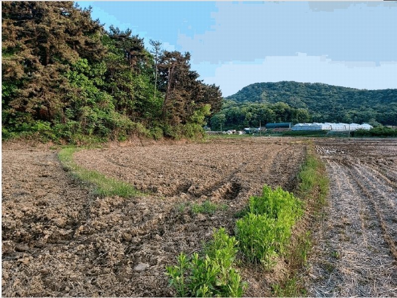 2025타경52295 경기도 안산시 단원구 대부동동 1958 농지 경매 이미지