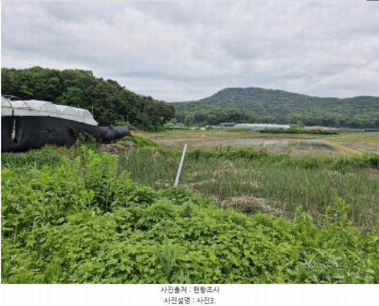2025타경52295 경기도 안산시 단원구 대부동동 1958 농지 경매 이미지