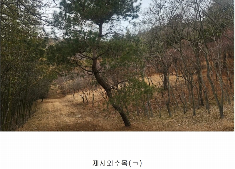 2025타경552 경상남도 사천시 곤명면 삼정리 산29-1 임야 경매 이미지