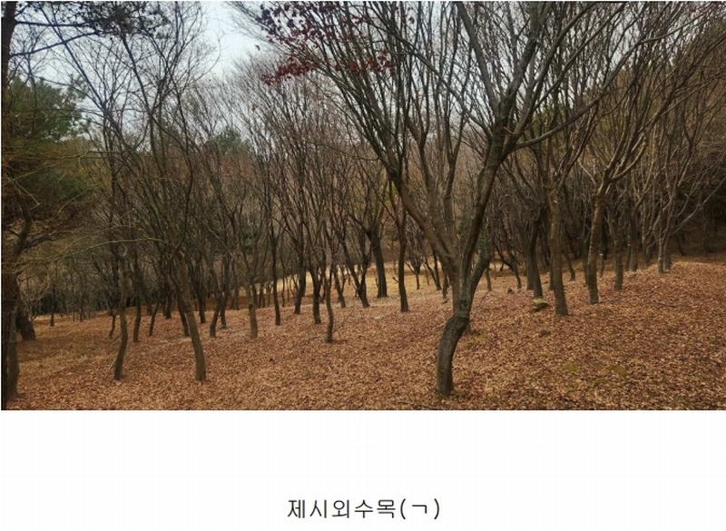 2025타경552 경상남도 사천시 곤명면 삼정리 산29-1 임야 경매 이미지