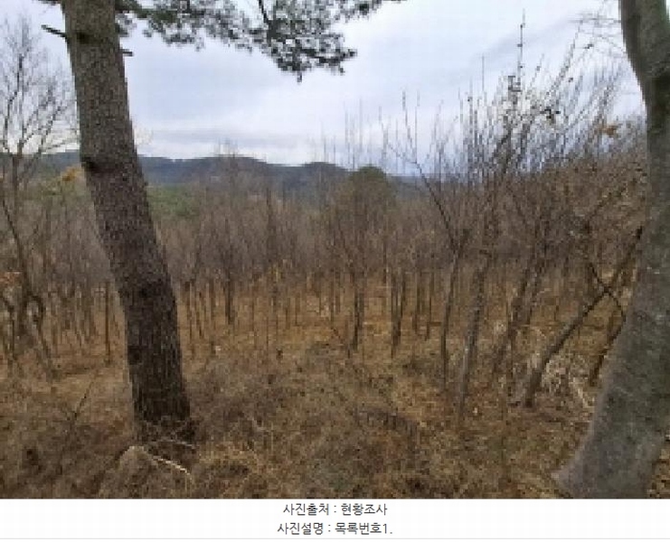 2025타경552 경상남도 사천시 곤명면 삼정리 산29-1 임야 경매 이미지