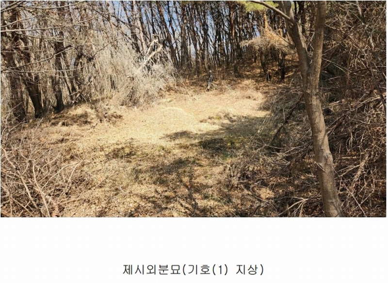 2025타경552 경상남도 사천시 곤명면 삼정리 산29-1 임야 경매 이미지