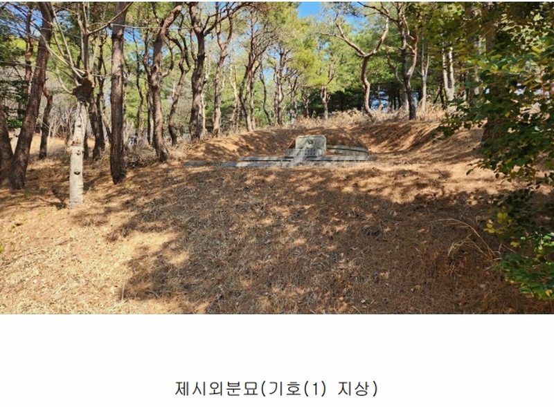 2025타경552 경상남도 사천시 곤명면 삼정리 산29-1 임야 경매 이미지