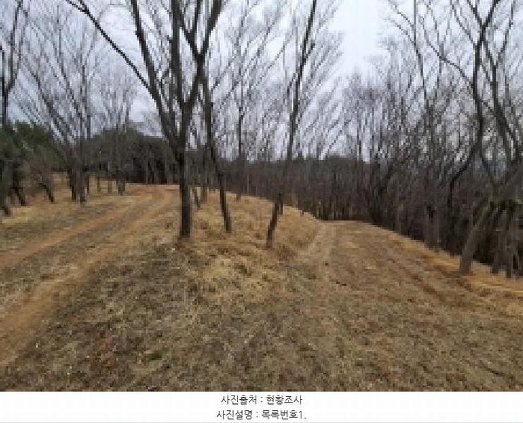 2025타경552 경상남도 사천시 곤명면 삼정리 산29-1 임야 경매 이미지