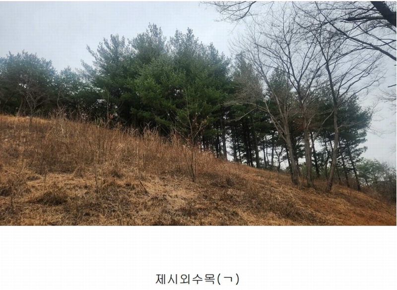 2025타경552 경상남도 사천시 곤명면 삼정리 산29-1 임야 경매 이미지