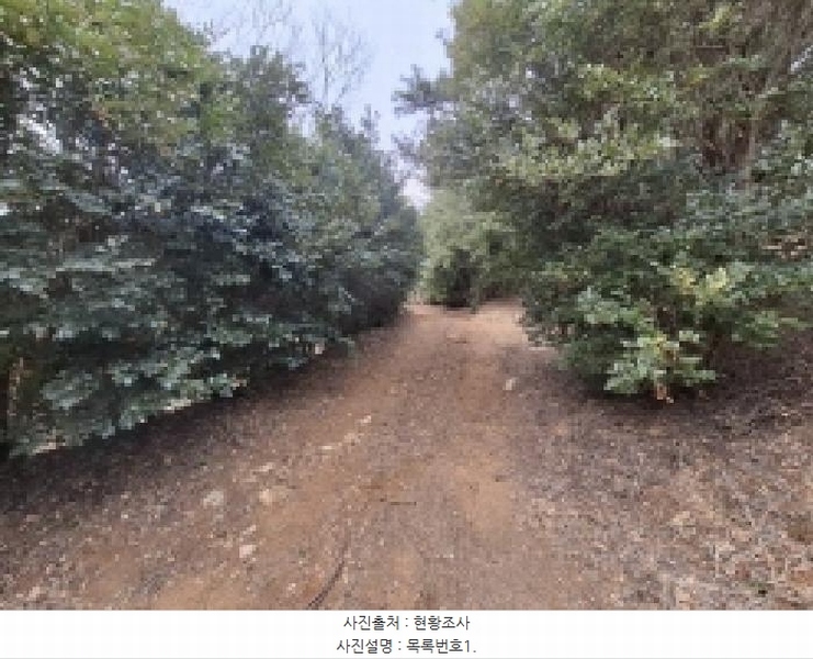 2025타경552 경상남도 사천시 곤명면 삼정리 산29-1 임야 경매 이미지