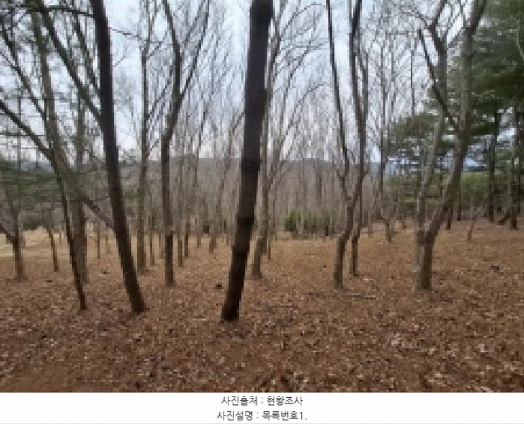 2025타경552 경상남도 사천시 곤명면 삼정리 산29-1 임야 경매 이미지