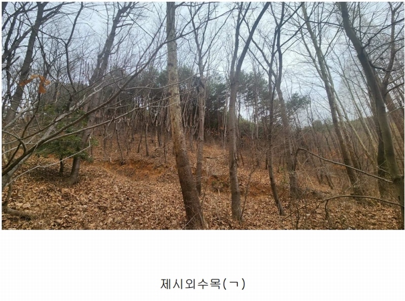 2025타경552 경상남도 사천시 곤명면 삼정리 산29-1 임야 경매 이미지