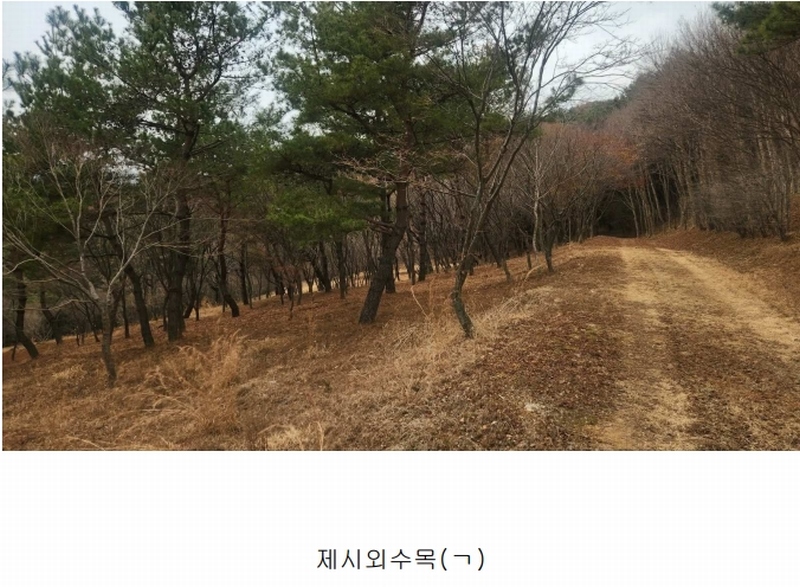 2025타경552 경상남도 사천시 곤명면 삼정리 산29-1 임야 경매 이미지