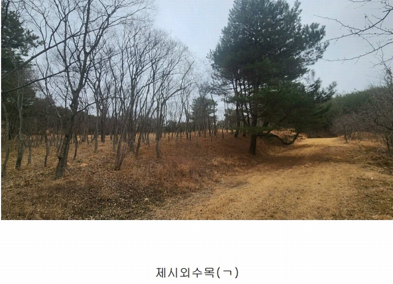 2025타경552 경상남도 사천시 곤명면 삼정리 산29-1 임야 경매 이미지