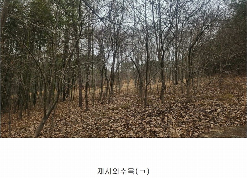 2025타경552 경상남도 사천시 곤명면 삼정리 산29-1 임야 경매 이미지