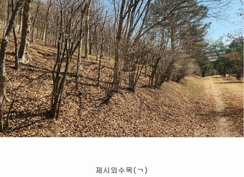 2025타경552 경상남도 사천시 곤명면 삼정리 산29-1 임야 경매 이미지