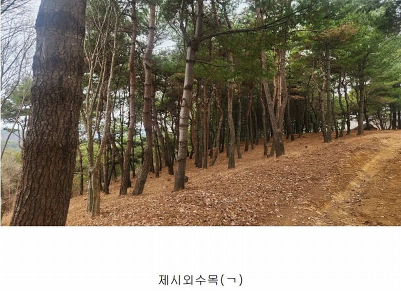 2025타경552 경상남도 사천시 곤명면 삼정리 산29-1 임야 경매 이미지