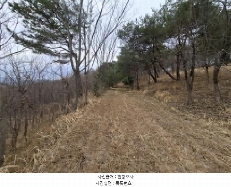 2025타경552 경상남도 사천시 곤명면 삼정리 산29-1 임야 경매 이미지
