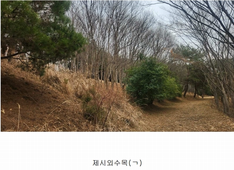 2025타경552 경상남도 사천시 곤명면 삼정리 산29-1 임야 경매 이미지