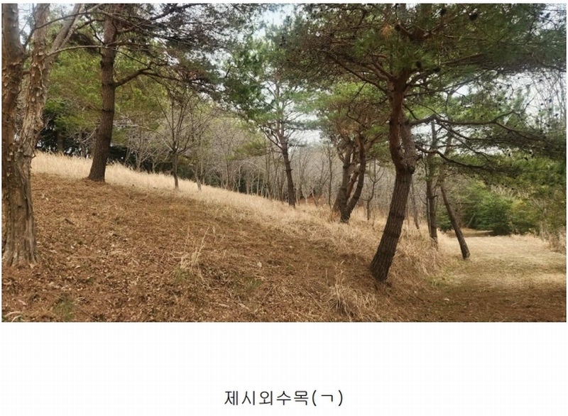 2025타경552 경상남도 사천시 곤명면 삼정리 산29-1 임야 경매 이미지