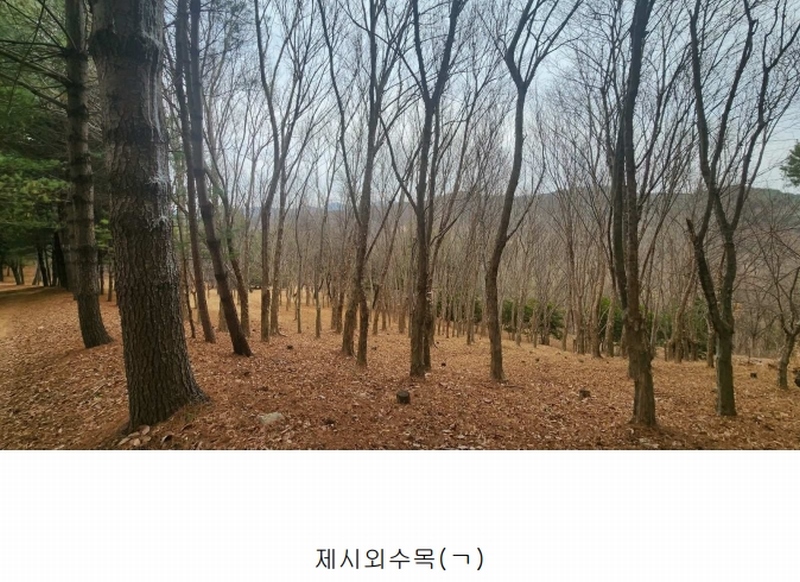 2025타경552 경상남도 사천시 곤명면 삼정리 산29-1 임야 경매 이미지