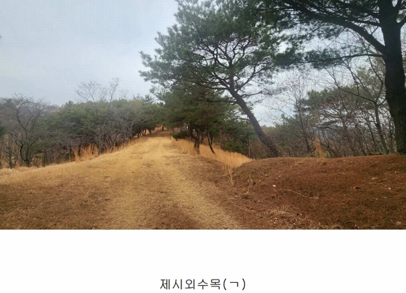 2025타경552 경상남도 사천시 곤명면 삼정리 산29-1 임야 경매 이미지