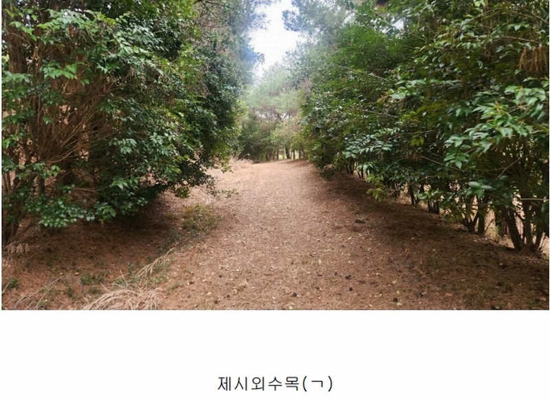 2025타경552 경상남도 사천시 곤명면 삼정리 산29-1 임야 경매 이미지