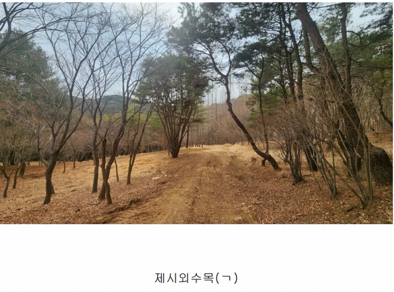 2025타경552 경상남도 사천시 곤명면 삼정리 산29-1 임야 경매 이미지