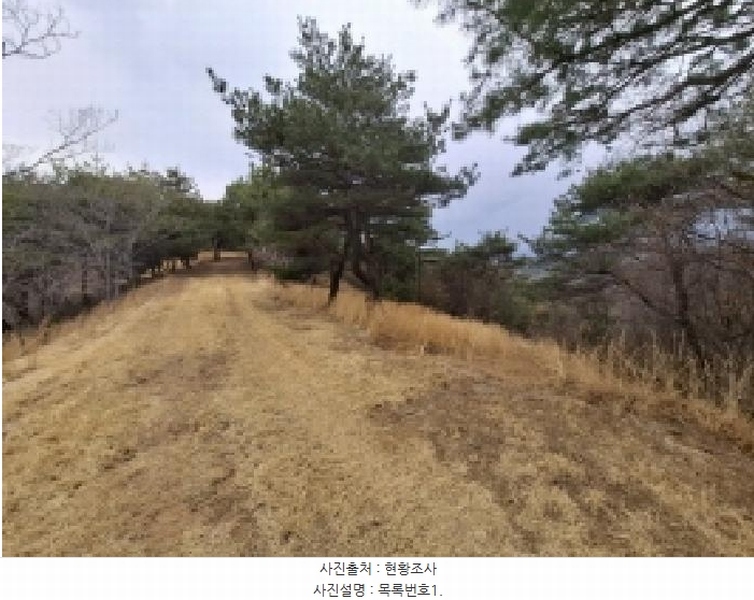 2025타경552 경상남도 사천시 곤명면 삼정리 산29-1 임야 경매 이미지