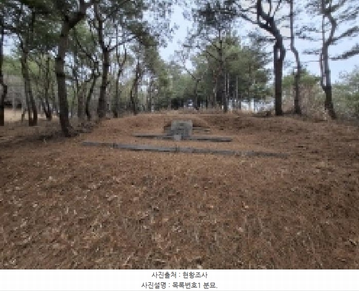 2025타경552 경상남도 사천시 곤명면 삼정리 산29-1 임야 경매 이미지
