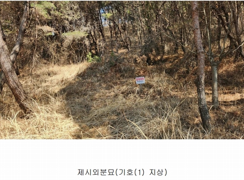 2025타경552 경상남도 사천시 곤명면 삼정리 산29-1 임야 경매 이미지