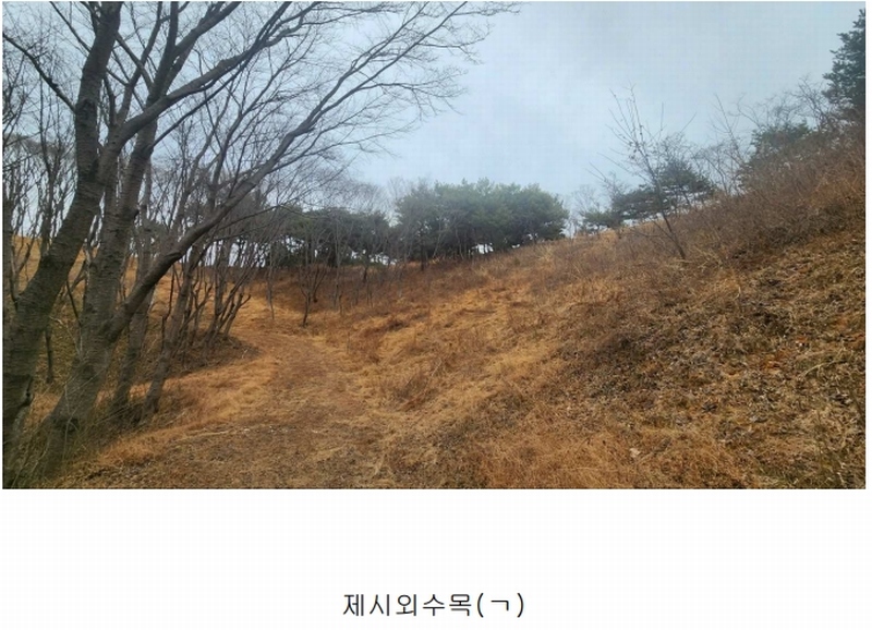 2025타경552 경상남도 사천시 곤명면 삼정리 산29-1 임야 경매 이미지